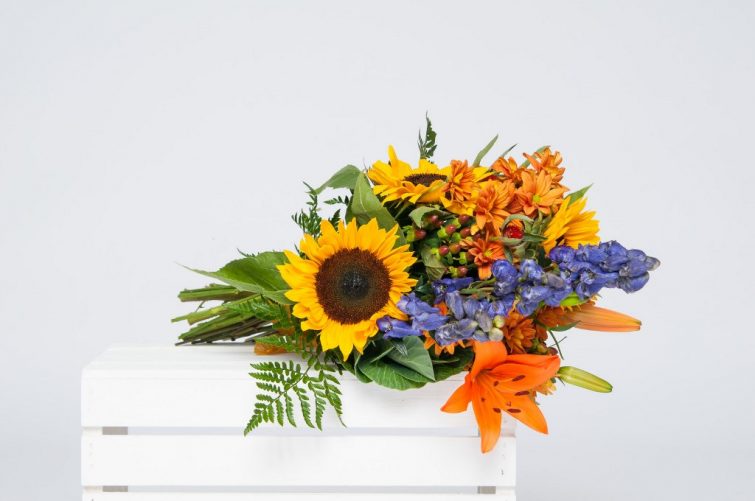 canstockphoto30814417
