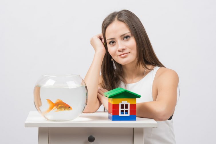 canstockphoto31960806