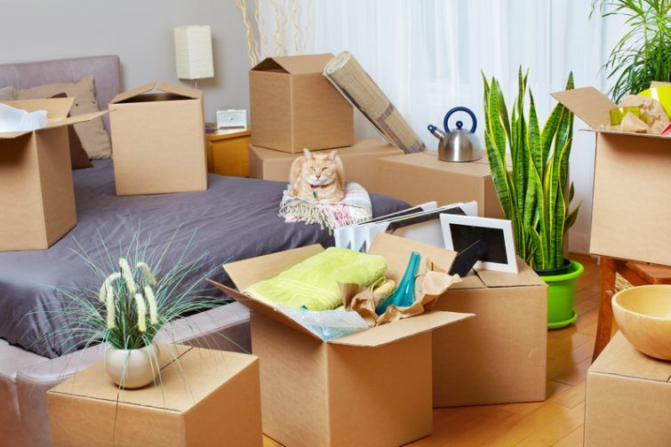 canstockphoto31217965